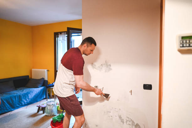 Best Mold Cleaning Services  in Basile, LA